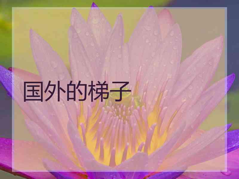 国外的梯子