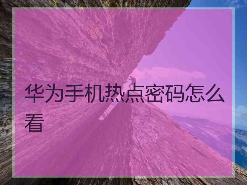 华为手机热点密码怎么看