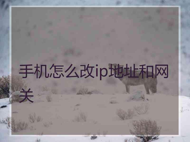 手机怎么改ip地址和网关