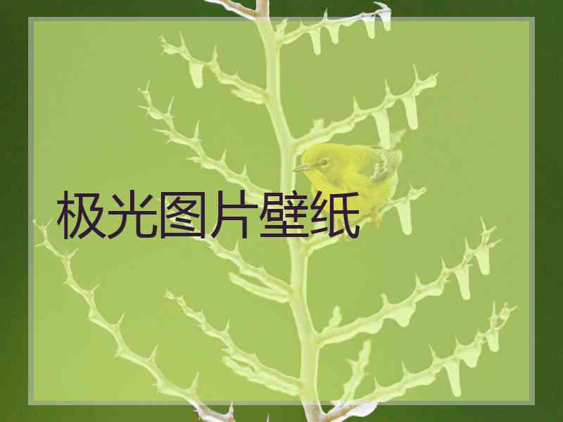 极光图片壁纸