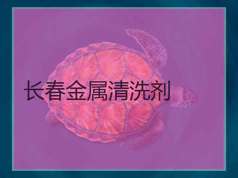 长春金属清洗剂