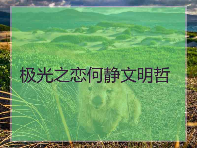 极光之恋何静文明哲