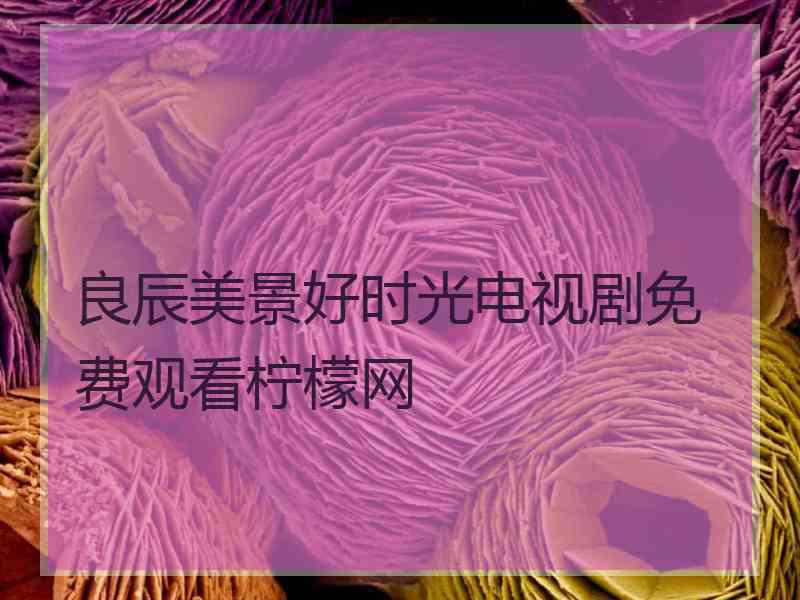 良辰美景好时光电视剧免费观看柠檬网