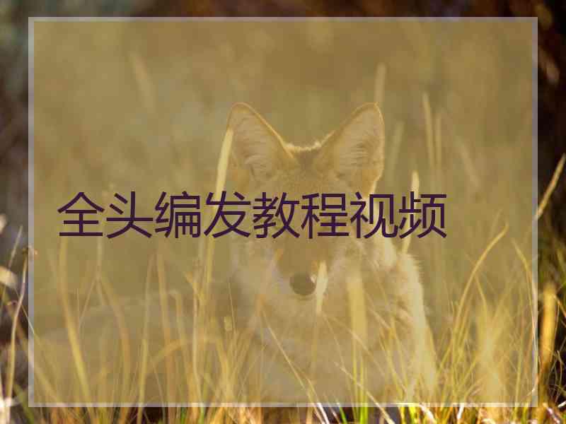 全头编发教程视频