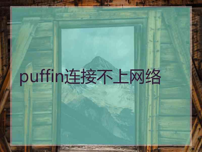 puffin连接不上网络