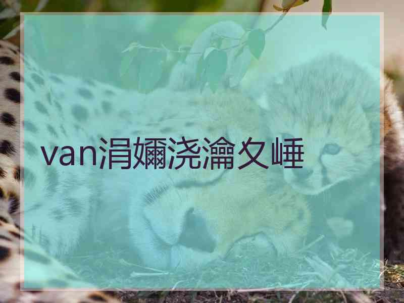 van涓嬭浇瀹夊崜