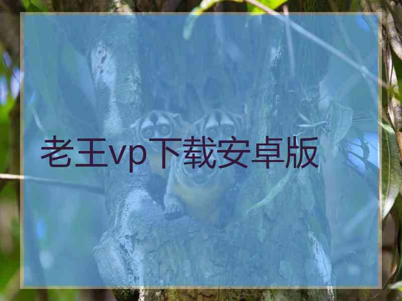 老王vp下载安卓版