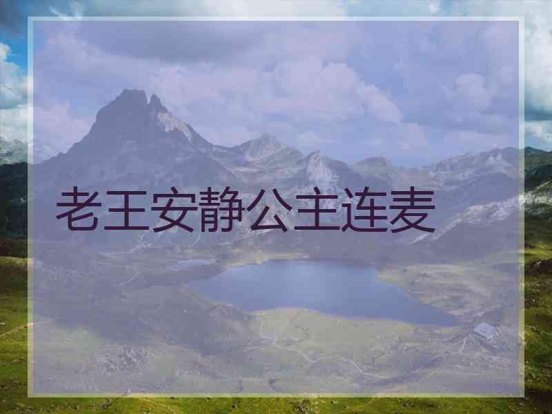 老王安静公主连麦
