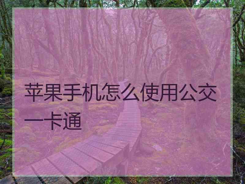 苹果手机怎么使用公交一卡通