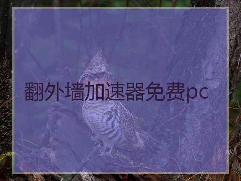 翻外墙加速器免费pc
