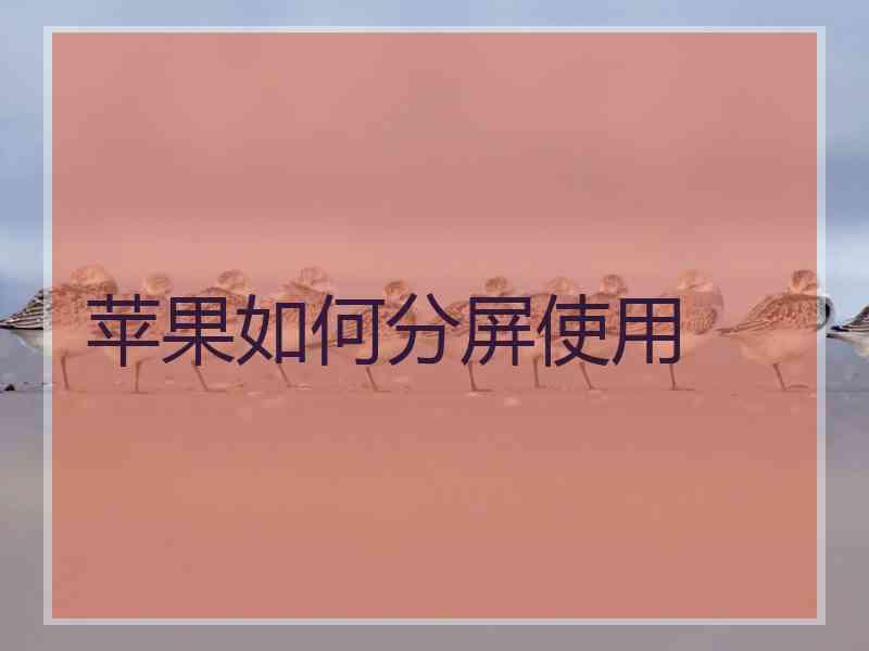 苹果如何分屏使用
