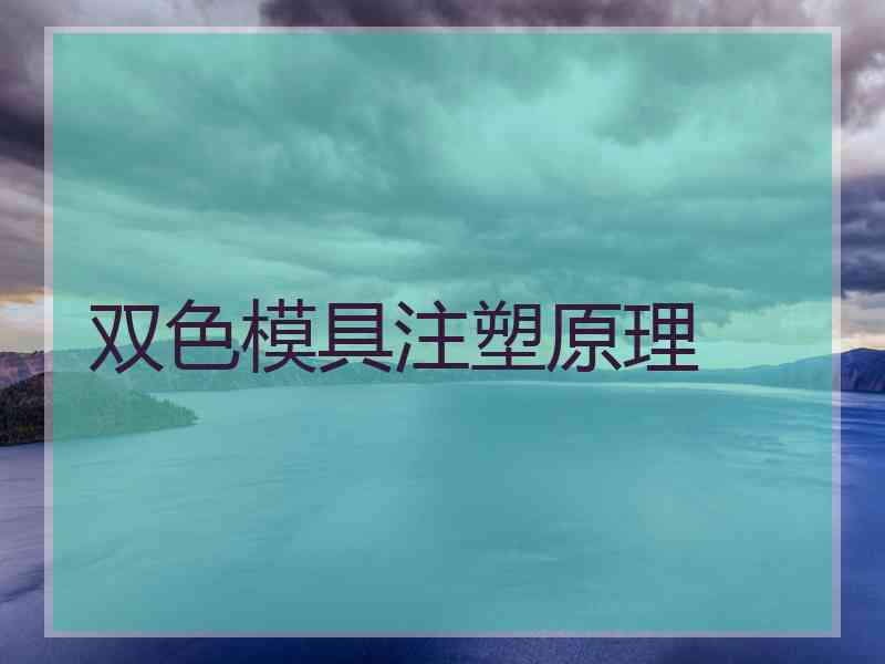 双色模具注塑原理