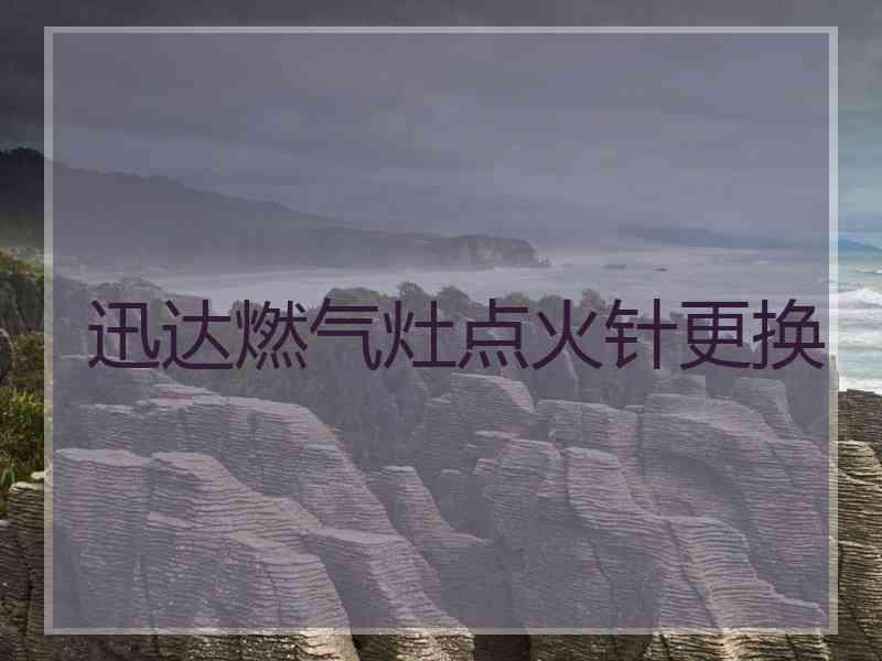 迅达燃气灶点火针更换