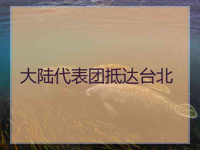 大陆代表团抵达台北
