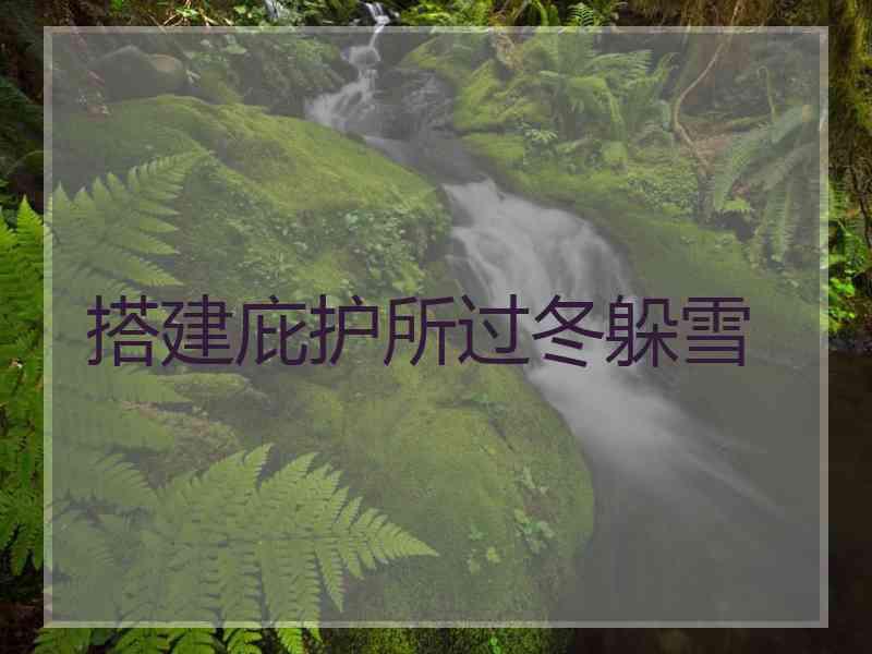 搭建庇护所过冬躲雪