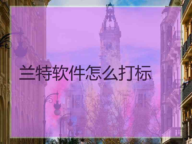 兰特软件怎么打标