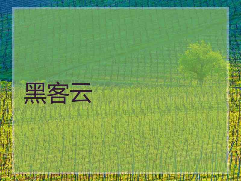 黑客云