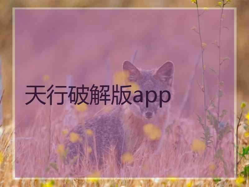 天行破解版app