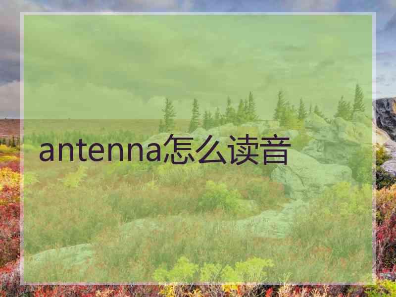 antenna怎么读音