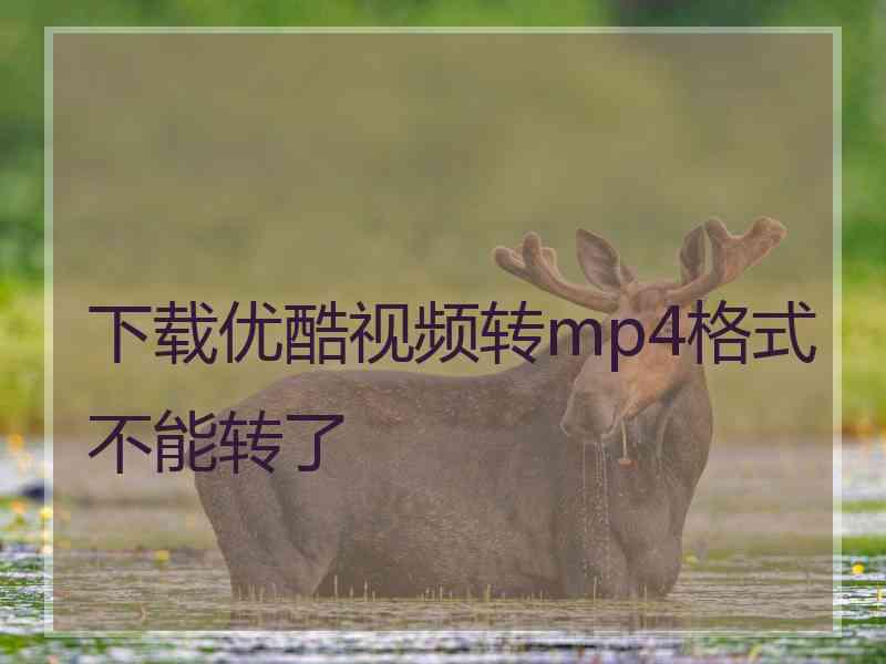 下载优酷视频转mp4格式不能转了
