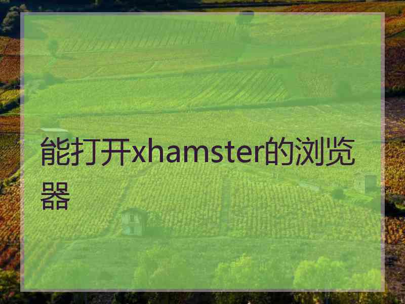 能打开xhamster的浏览器