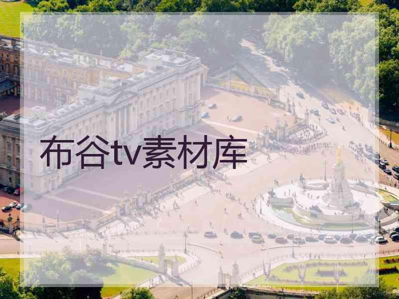 布谷tv素材库