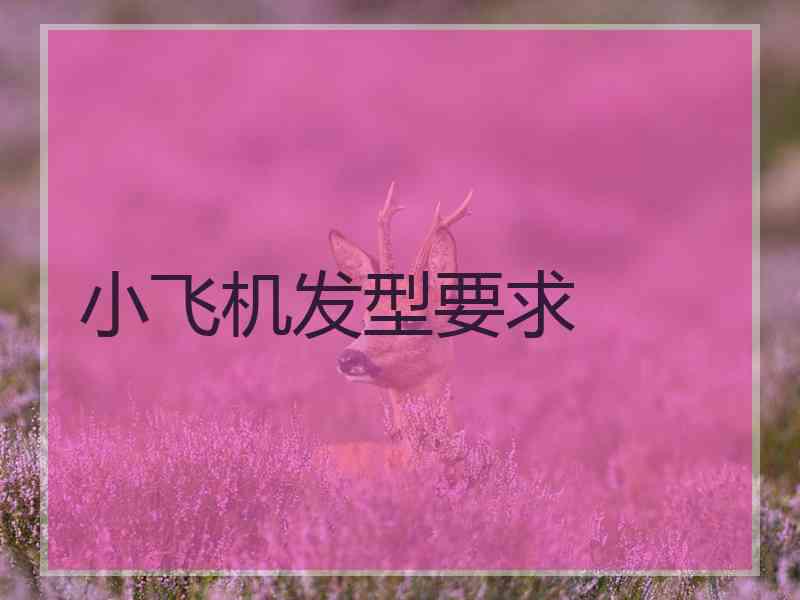 小飞机发型要求