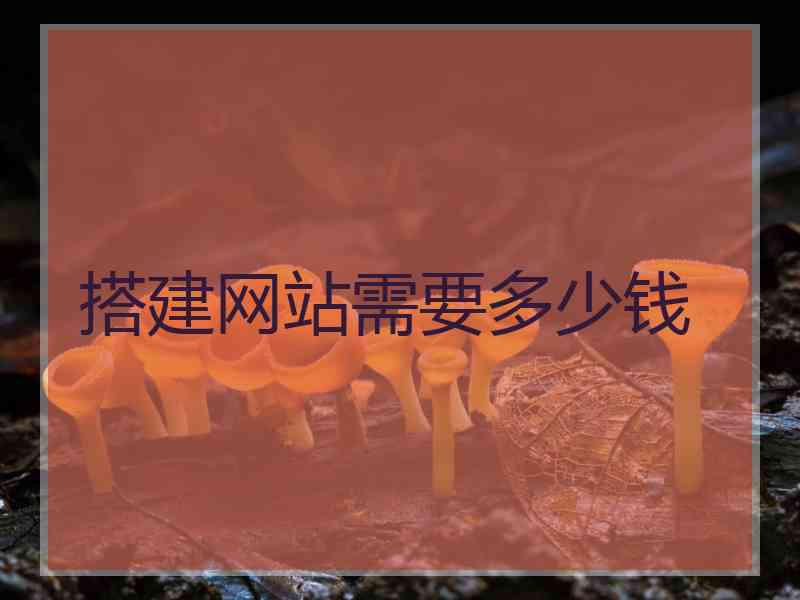搭建网站需要多少钱