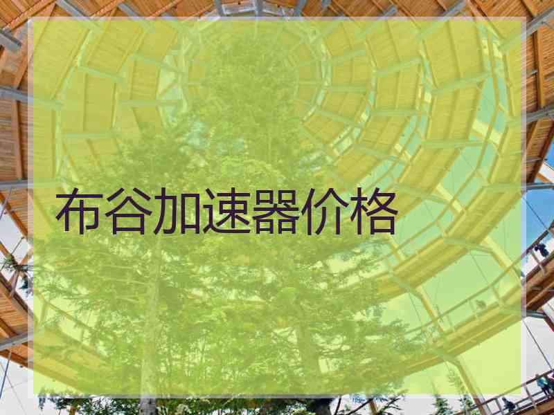 布谷加速器价格