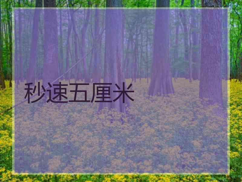 秒速五厘米