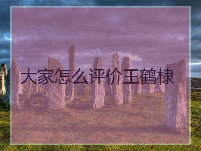 大家怎么评价王鹤棣