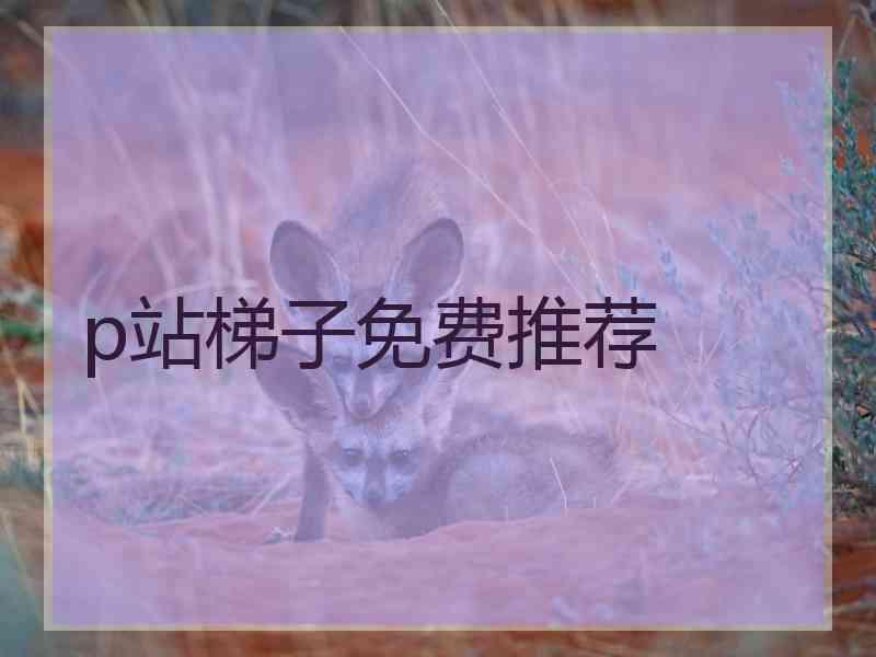 p站梯子免费推荐