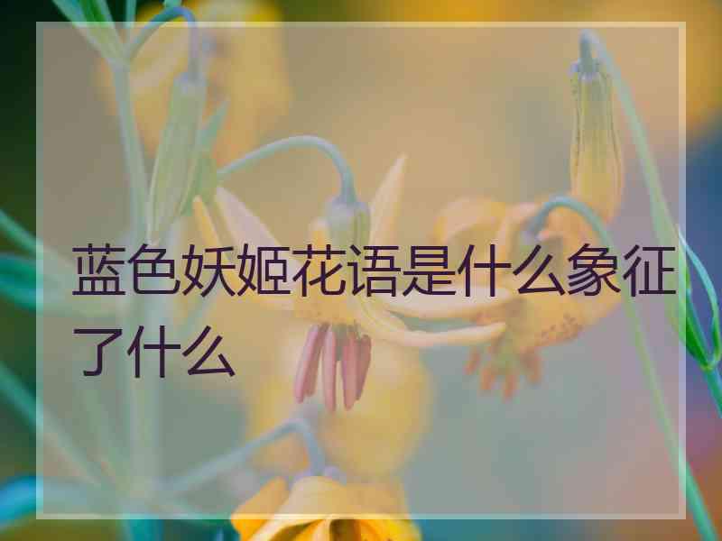 蓝色妖姬花语是什么象征了什么