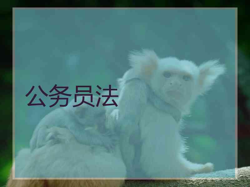 公务员法