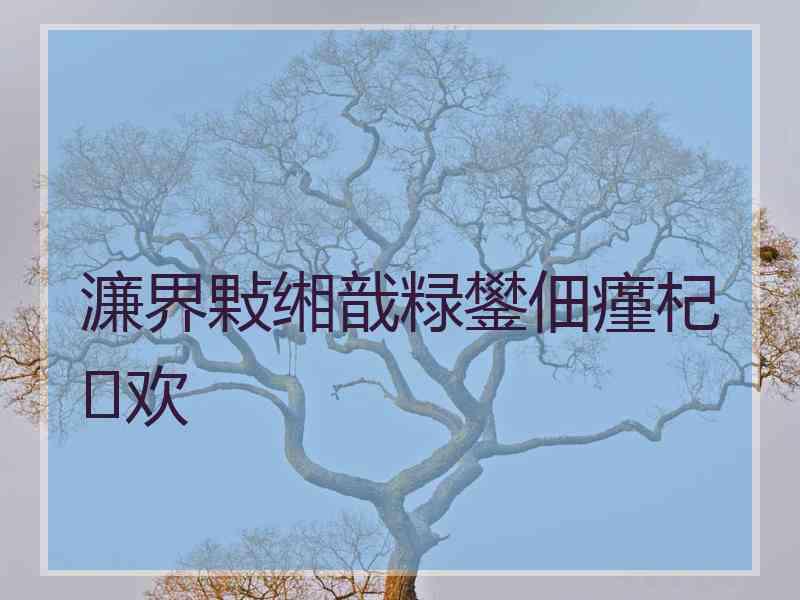 濂界敤缃戠粶鐢佃瘽杞欢