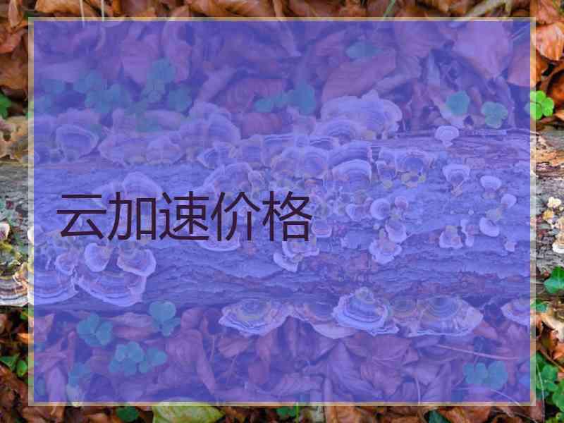 云加速价格