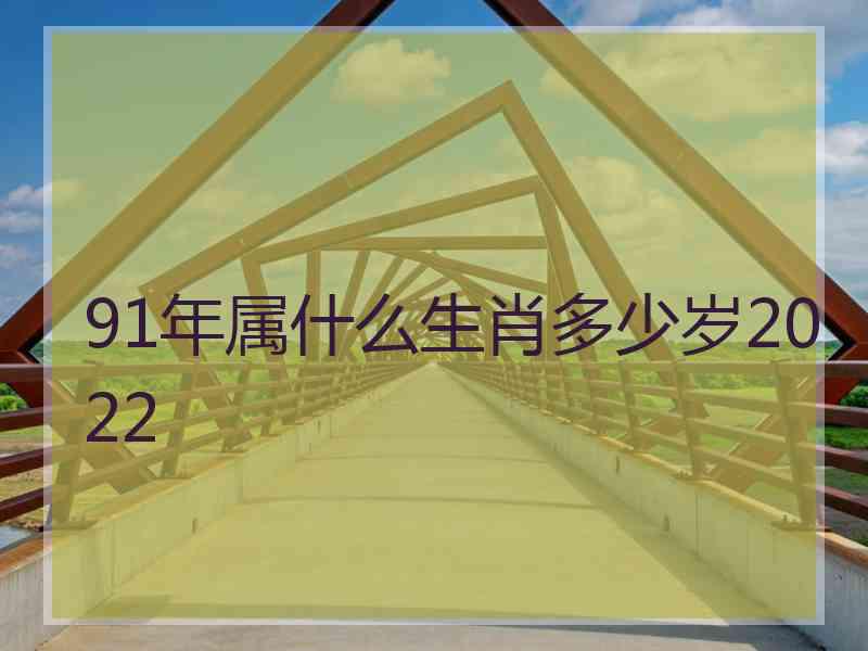 91年属什么生肖多少岁2022