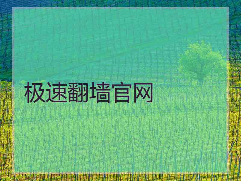 极速翻墙官网