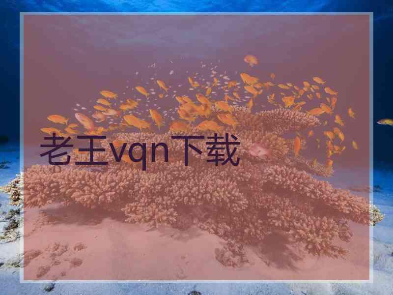 老王vqn下载