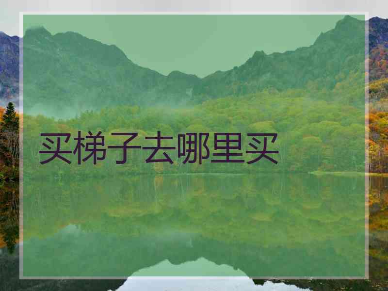 买梯子去哪里买