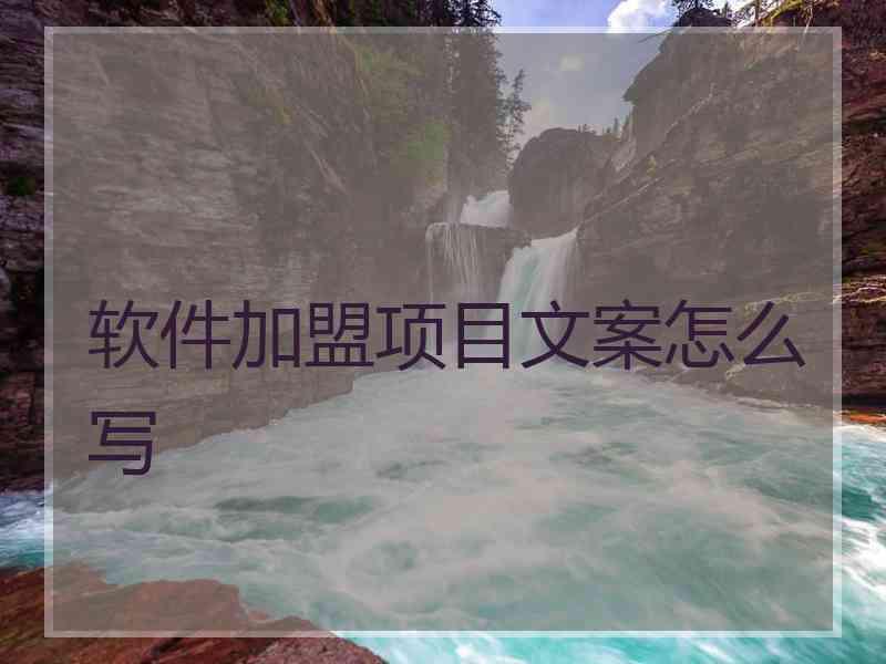 软件加盟项目文案怎么写