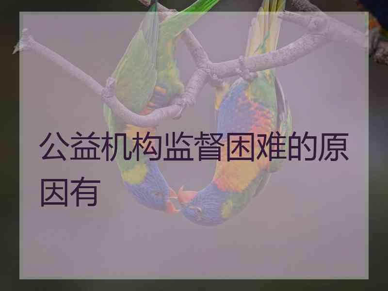 公益机构监督困难的原因有