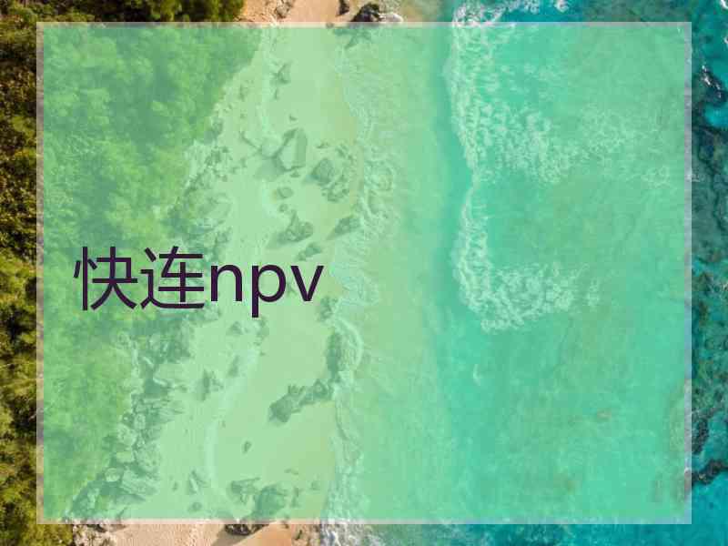 快连npv