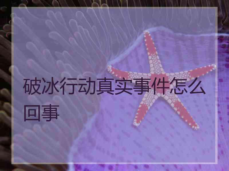 破冰行动真实事件怎么回事