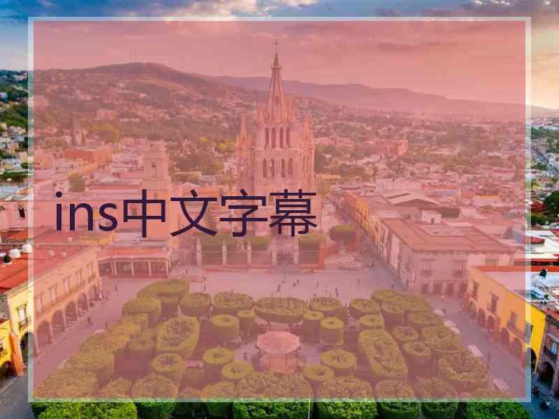 ins中文字幕