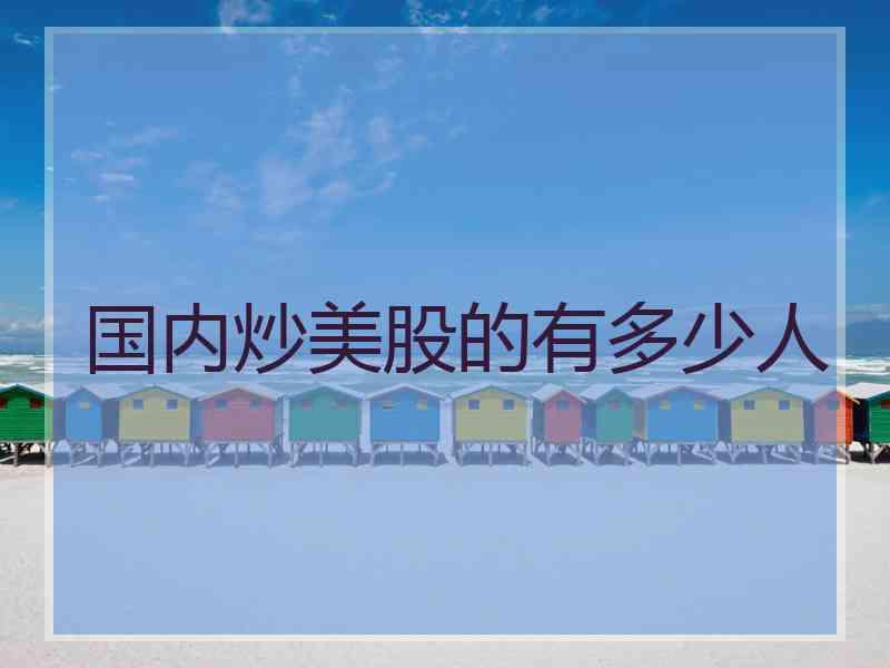 国内炒美股的有多少人