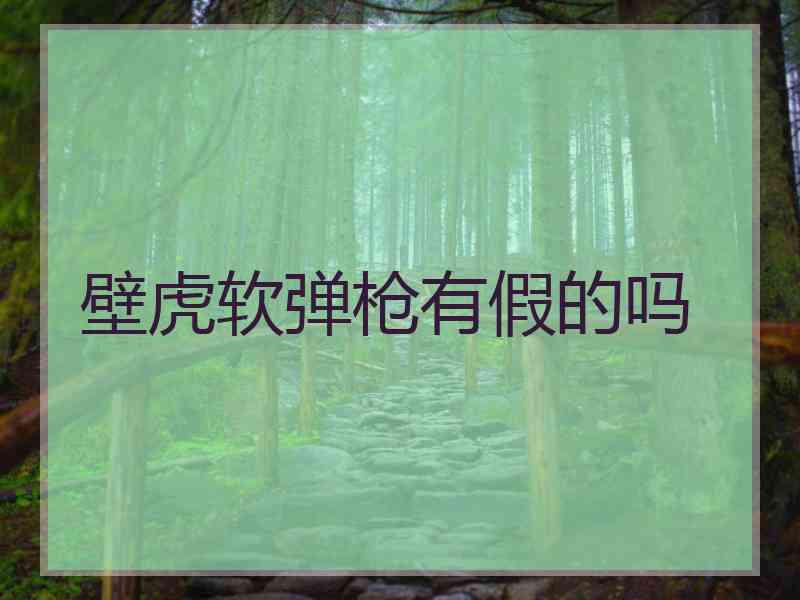 壁虎软弹枪有假的吗