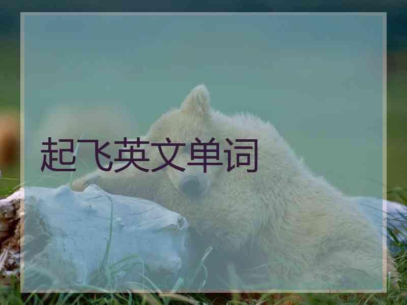 起飞英文单词