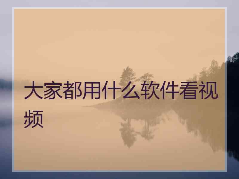 大家都用什么软件看视频