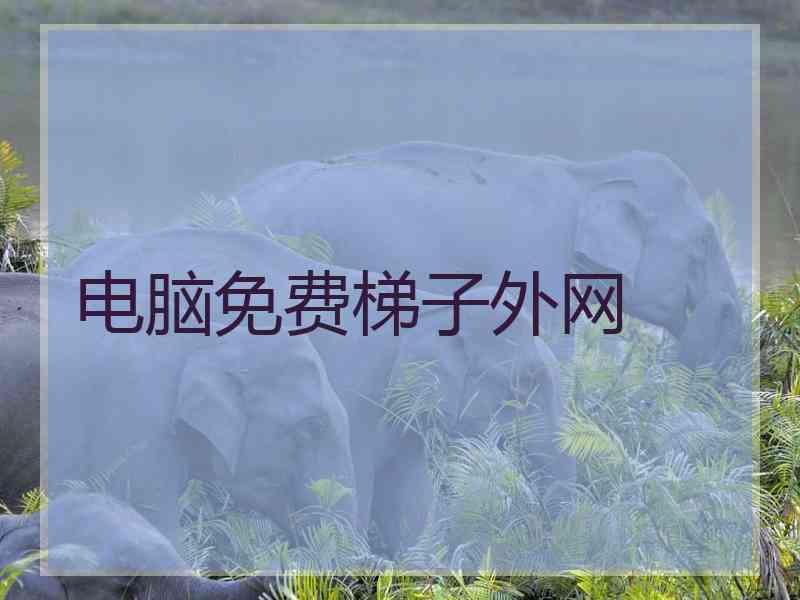 电脑免费梯子外网